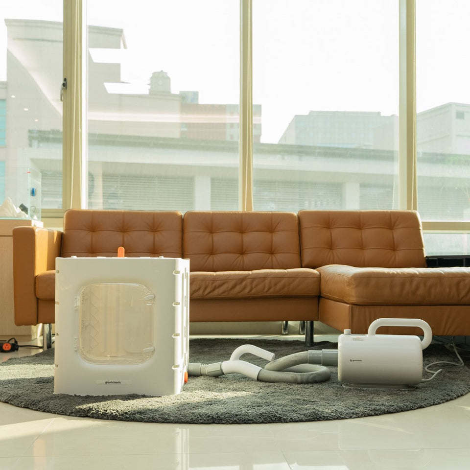 Pet dryer and drying box set placed on the rug beside a living room sofa