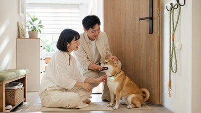 How to choose a pet tracker: what to know before your pet goes missing