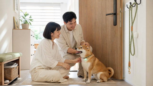 How to choose a pet tracker: what to know before your pet goes missing
