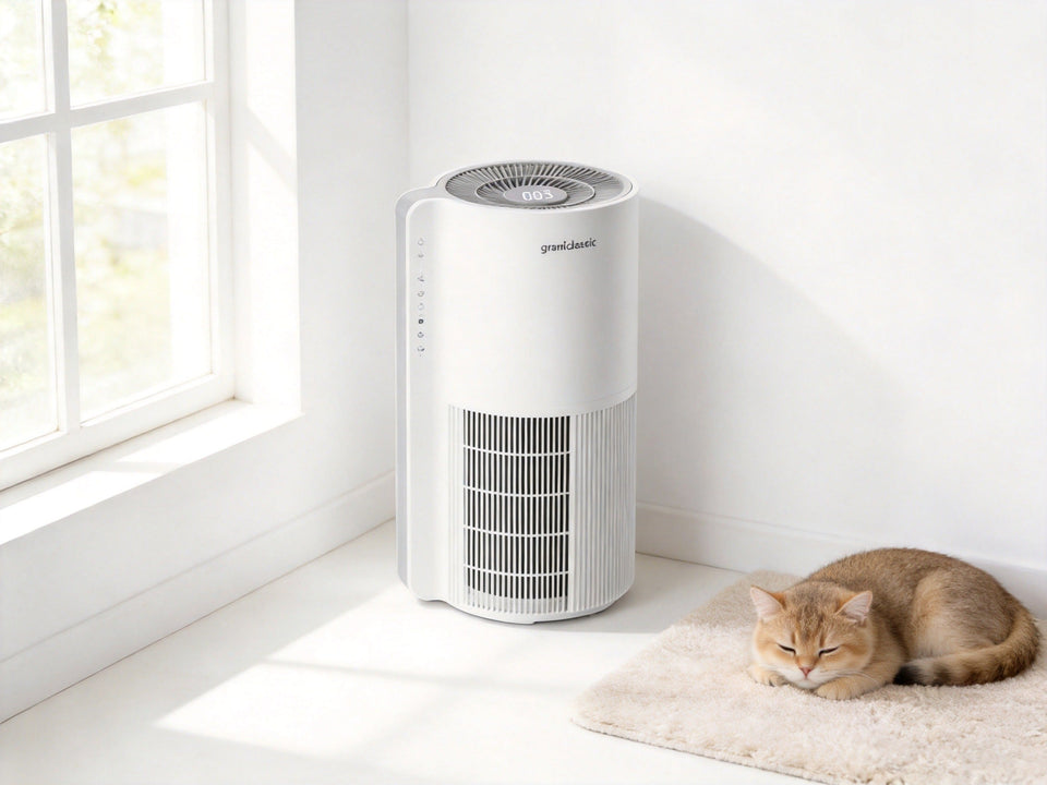 How often to replace a HEPA filter: a complete pet air purifier maintenance guide