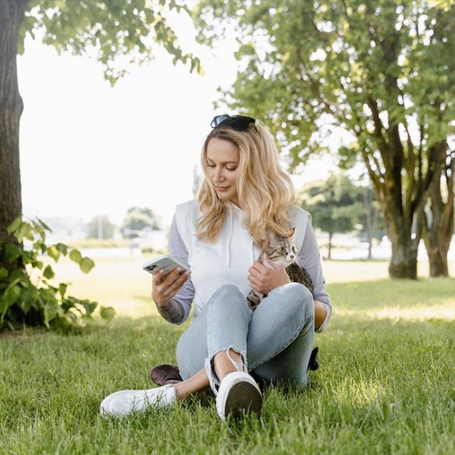 Phone-connected pet feeders: monitor and feed your pet remotely - grantclassic