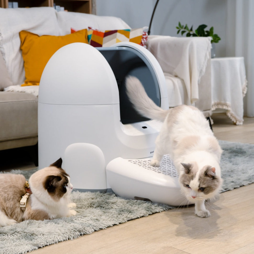 [Pet Bundle] CatPalace Automatic Litter Box + 3-Month Supply Kit - Image 6 | grantclassic