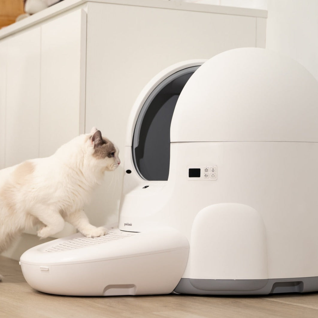 [Pet Bundle] CatPalace Automatic Litter Box + 3-Month Supply Kit - Image 5 | grantclassic