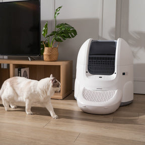 [Pet Bundle] CatPalace Automatic Litter Box + 3-Month Supply Kit - Image 3 | grantclassic