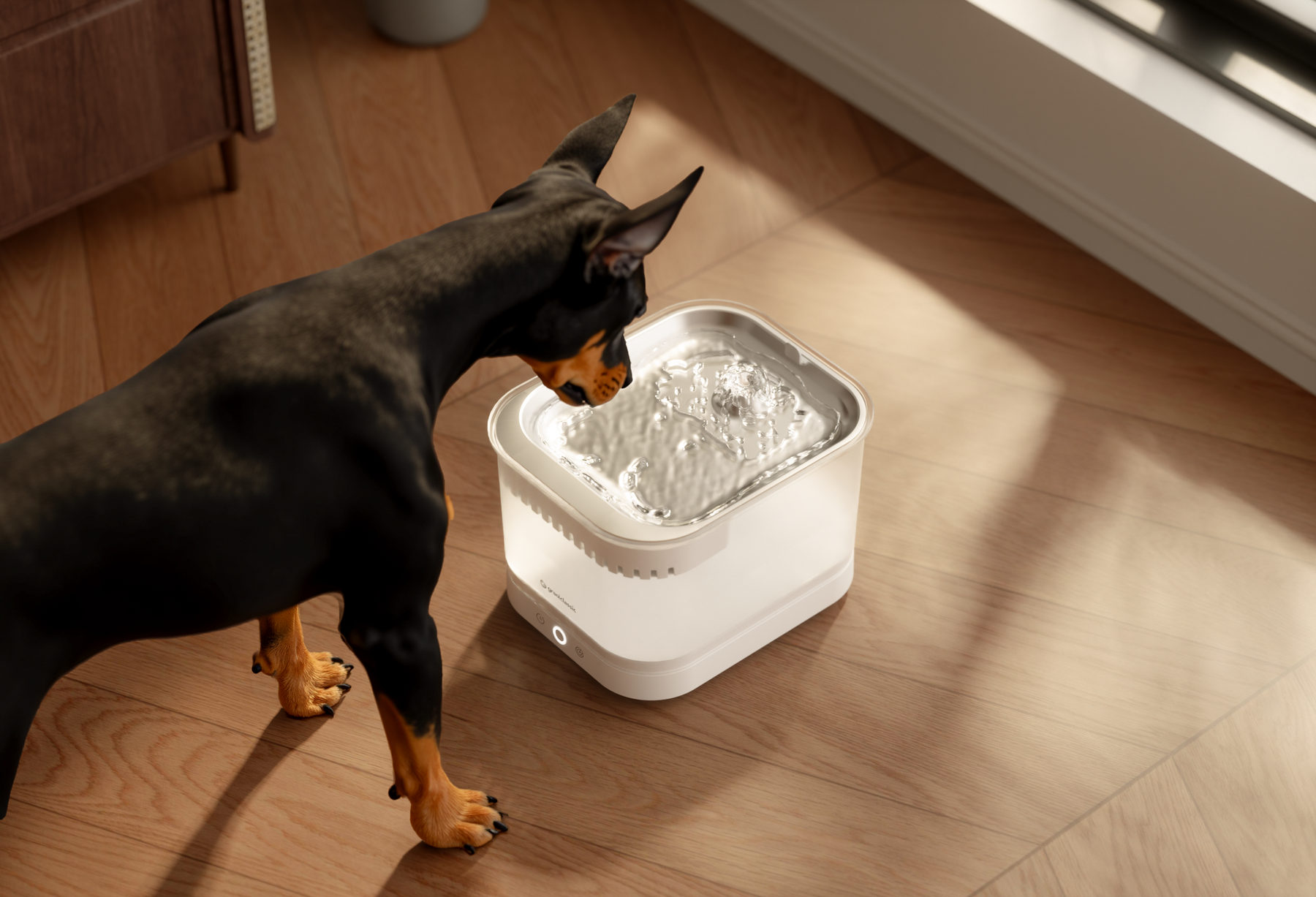 AquaLux Mag magnetic cordless pet water fountain, Doberman drinking | grantclassic