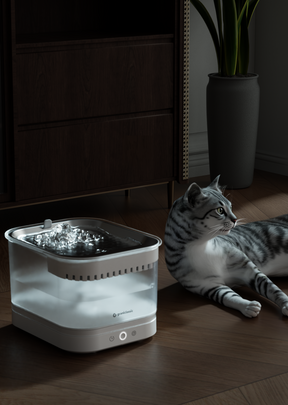AquaLux Mag magnetic cordless pet water fountain, flowing stream at night with a cat nearby | grantclassic