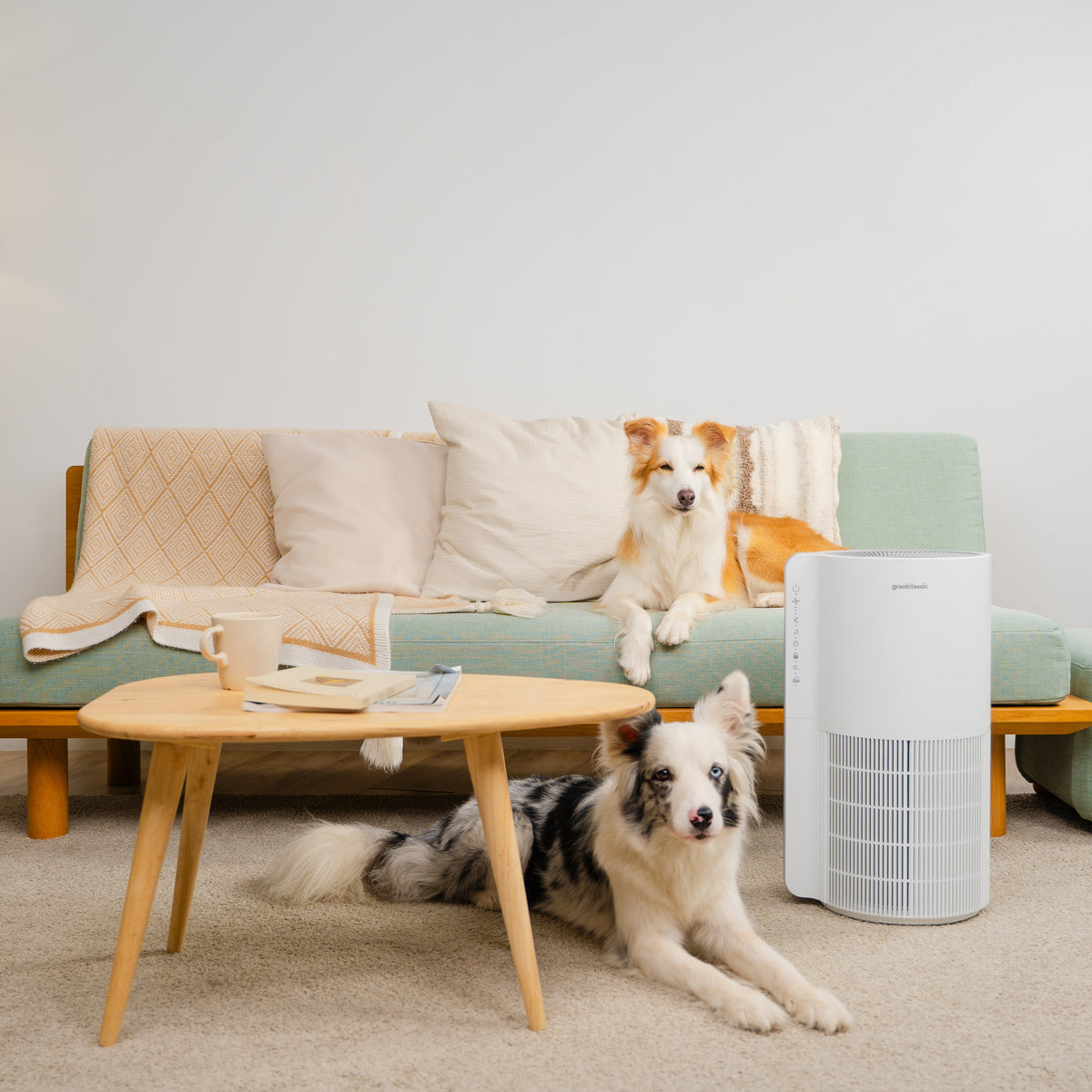 [Pet Bundle, Top Spec] LuxAir Purifier + LuxNourish Feeder, Pet Cam + AquaLux Fountain, UV - Image 6 | grantclassic