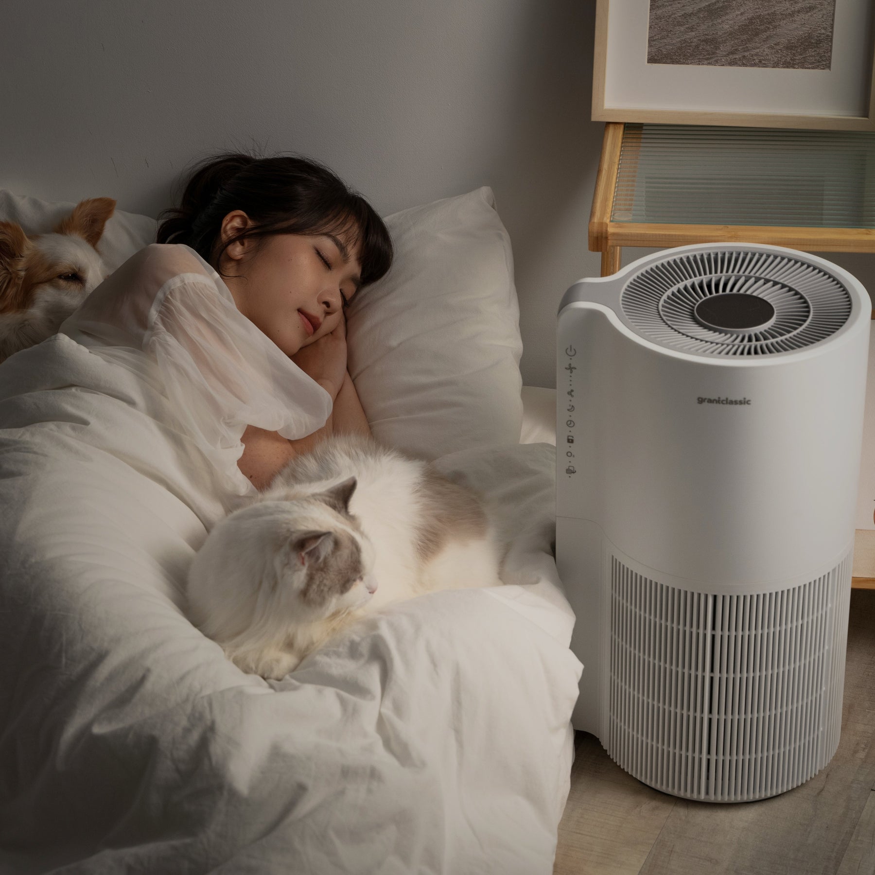 [Pet Bundle, Top Spec] LuxAir Purifier + LuxNourish Feeder, Pet Cam + AquaLux Fountain, UV - Image 7 | grantclassic