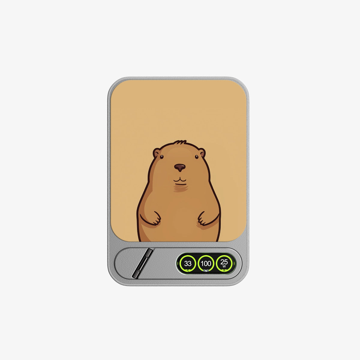 TITANSHIELD Pro 10000 mAh · Capybara